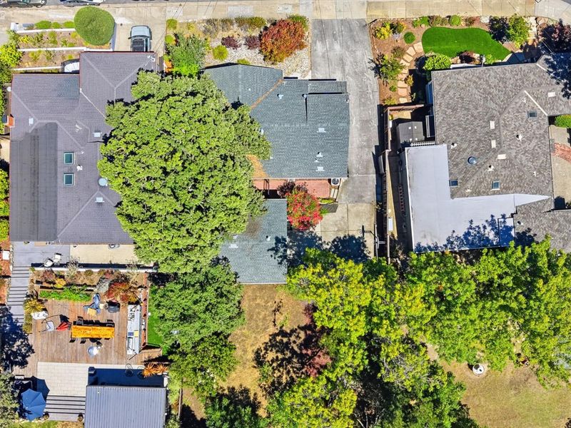 1785777544
