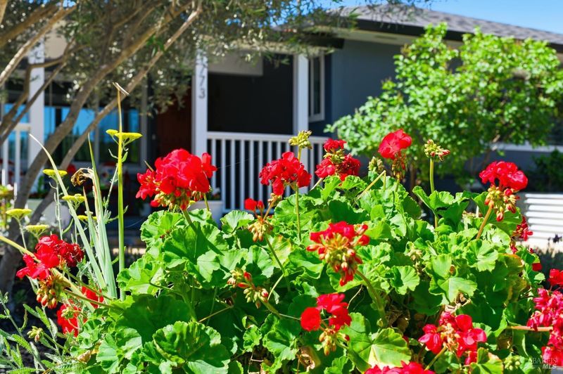 1779812562