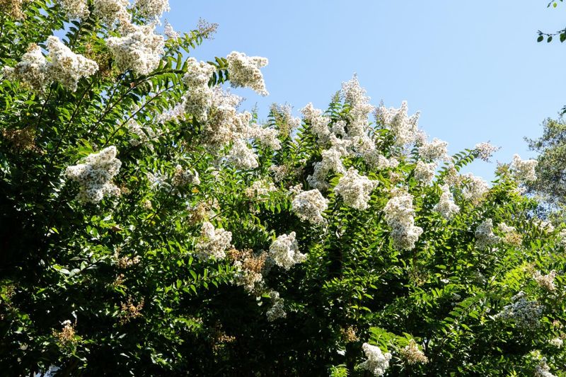 1789750852