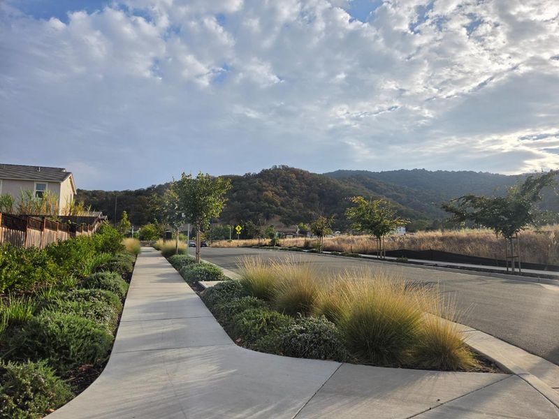 1792207116