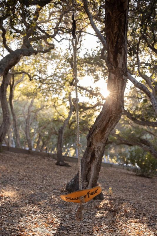1786056540