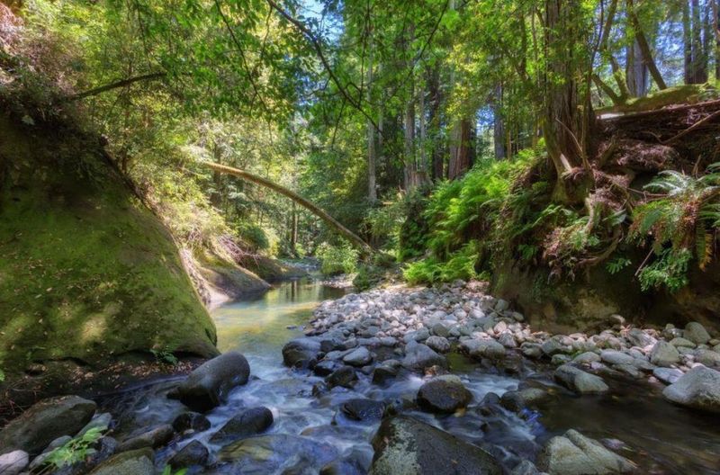 1783609233
