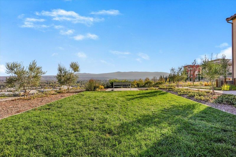 1789922911