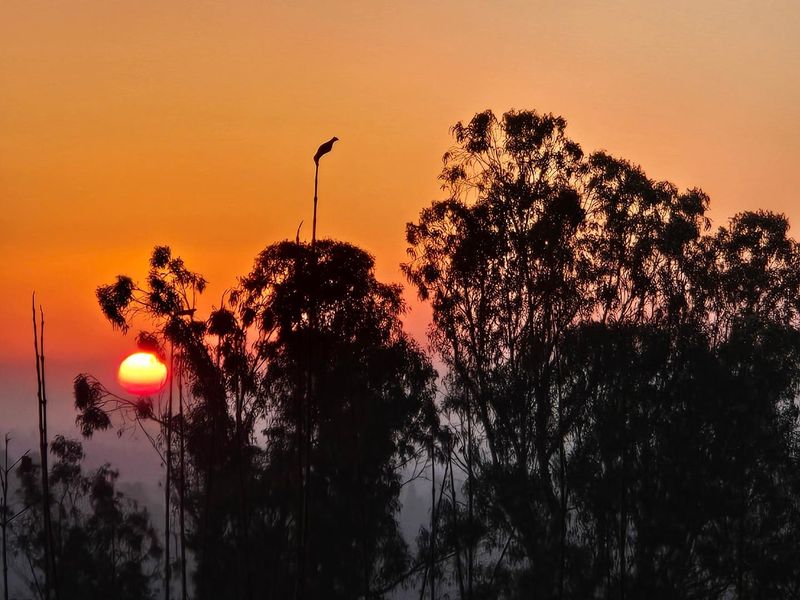 1790551831