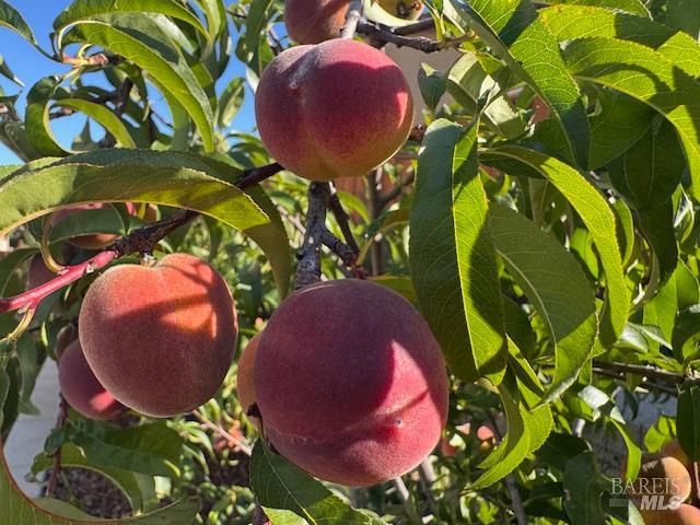 1781290383