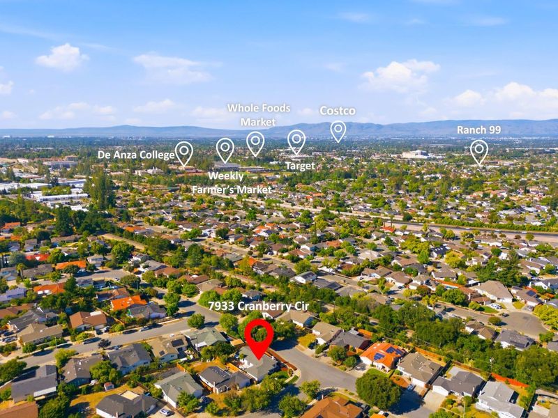 1780096742