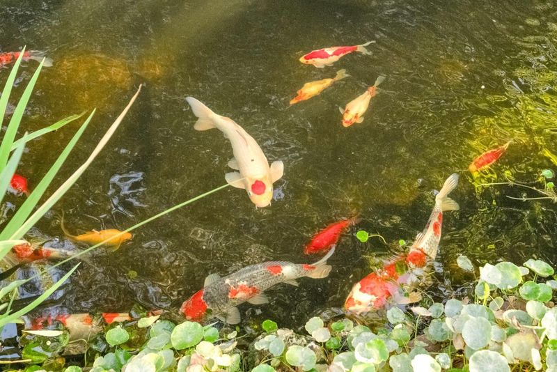 1791089335