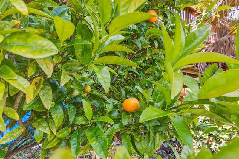 1780634921