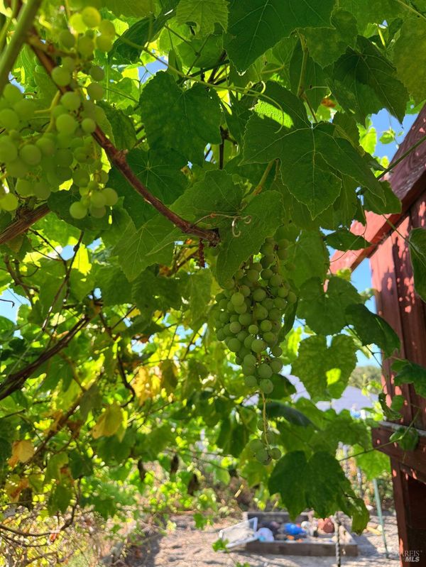 1789402981