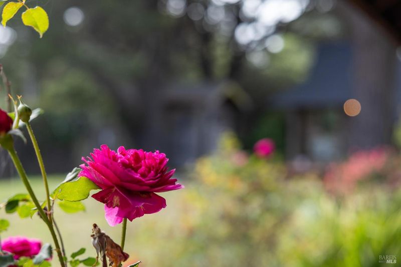 1778734451