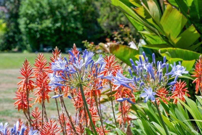 1781806772